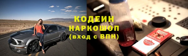 сатива Арсеньев