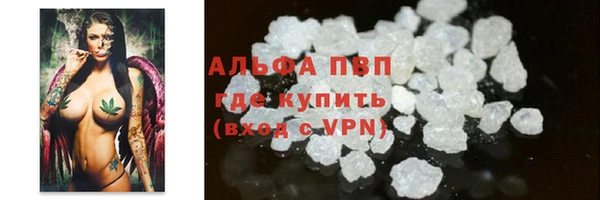 сатива Арсеньев