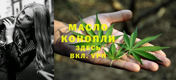 сатива Арсеньев